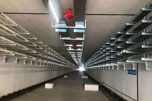 回來干活,我們一定會 罩 顧好你